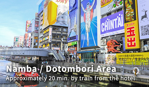 Namba / Dotombori Area